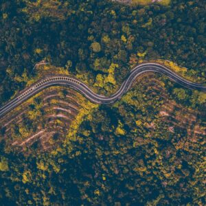 aerial photography of road beside forest
