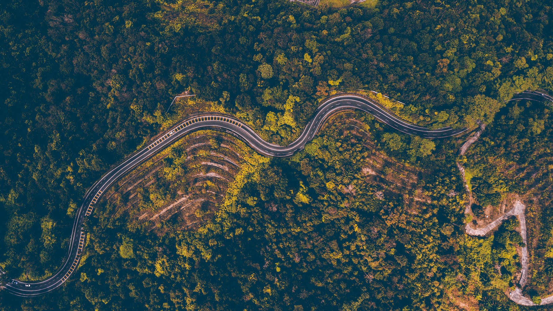 aerial photography of road beside forest